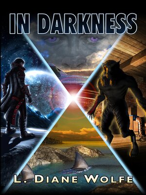 cover image of In Darkness